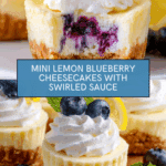 Juicy Mini Lemon Blueberry Cheesecakes Recipe