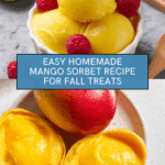 Mango Sorbet Recipe