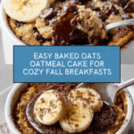 Baked Oats Oatmeal Cake Recipe