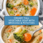 Creamy Vegetable Soup Recipe