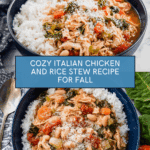 Italian Chicken and Rice Stew Recipe