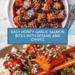 Honey Garlic Salmon Bites Recipe