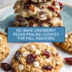 No-Bake Cranberry Pecan Praline Cookies Recipe