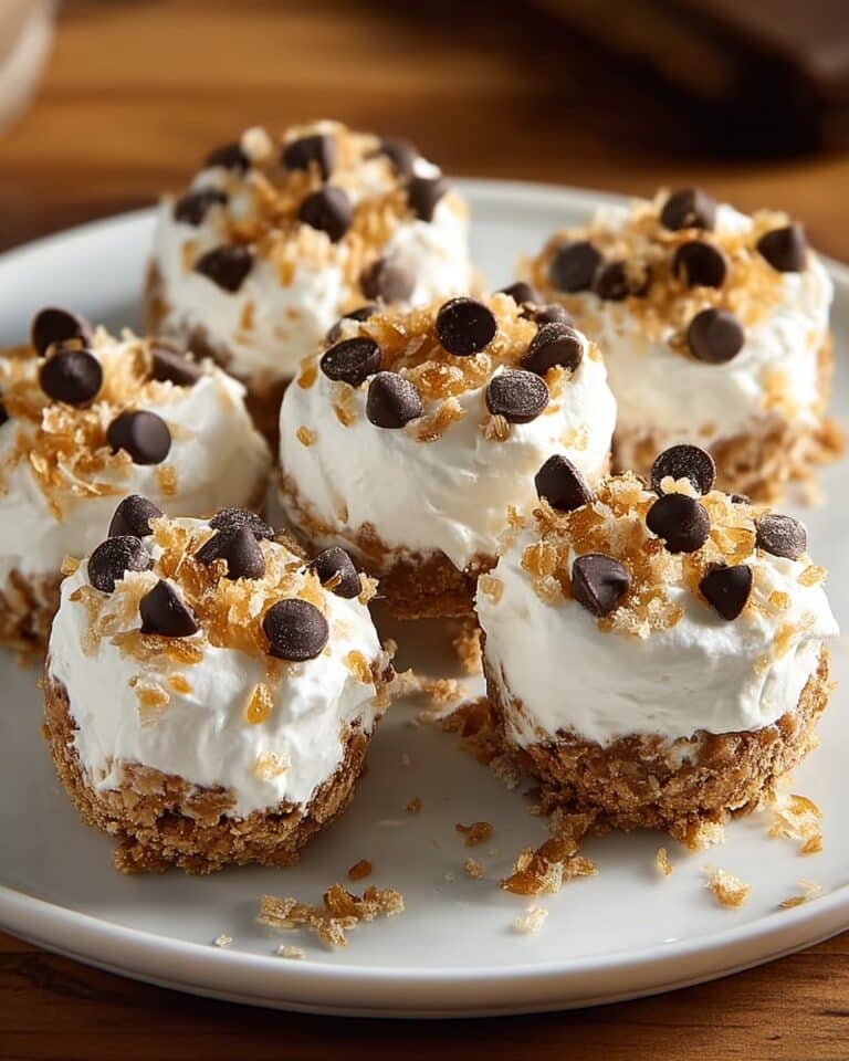Easy No-Bake Moose Farts Recipe