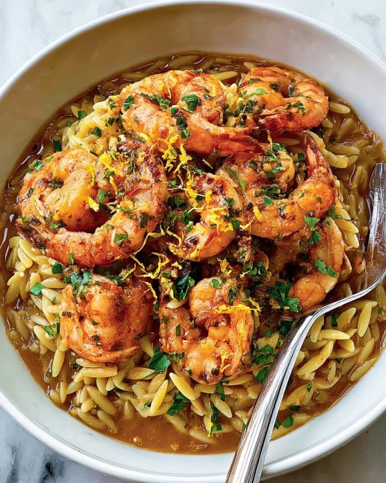 Shrimp Orzo in Lemon Garlic Sauce Recipe