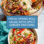 Spring Roll Salad with Spicy Ginger Dressing Recipe