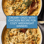 Creamy Orzo With Chicken: A Wonderful Ultimate Recipe You’ll Love